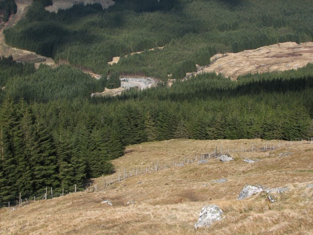 Grey Council