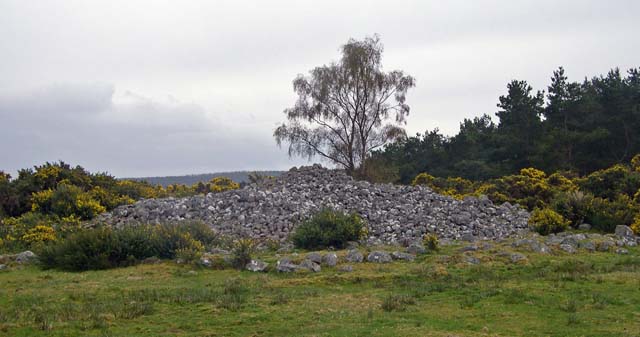 Grey Council